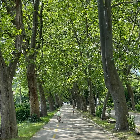 شقة Surf & Sun Foeldvar Balaton *
